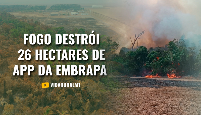 INCÊNDIO DESTRÓI 26 HECTARES DE APP DA EMBRAPA